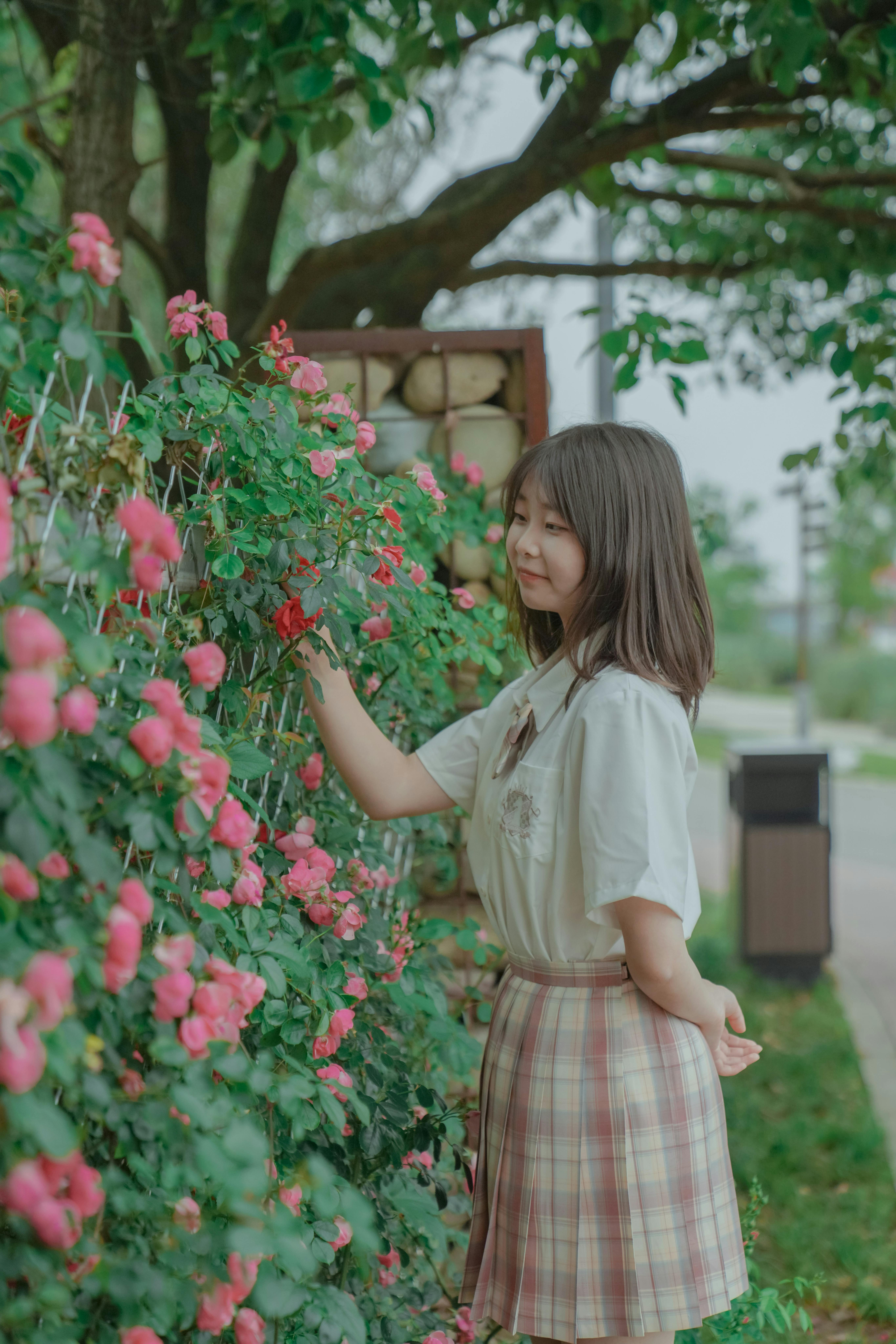 创作者 Joy Xu 的展示图