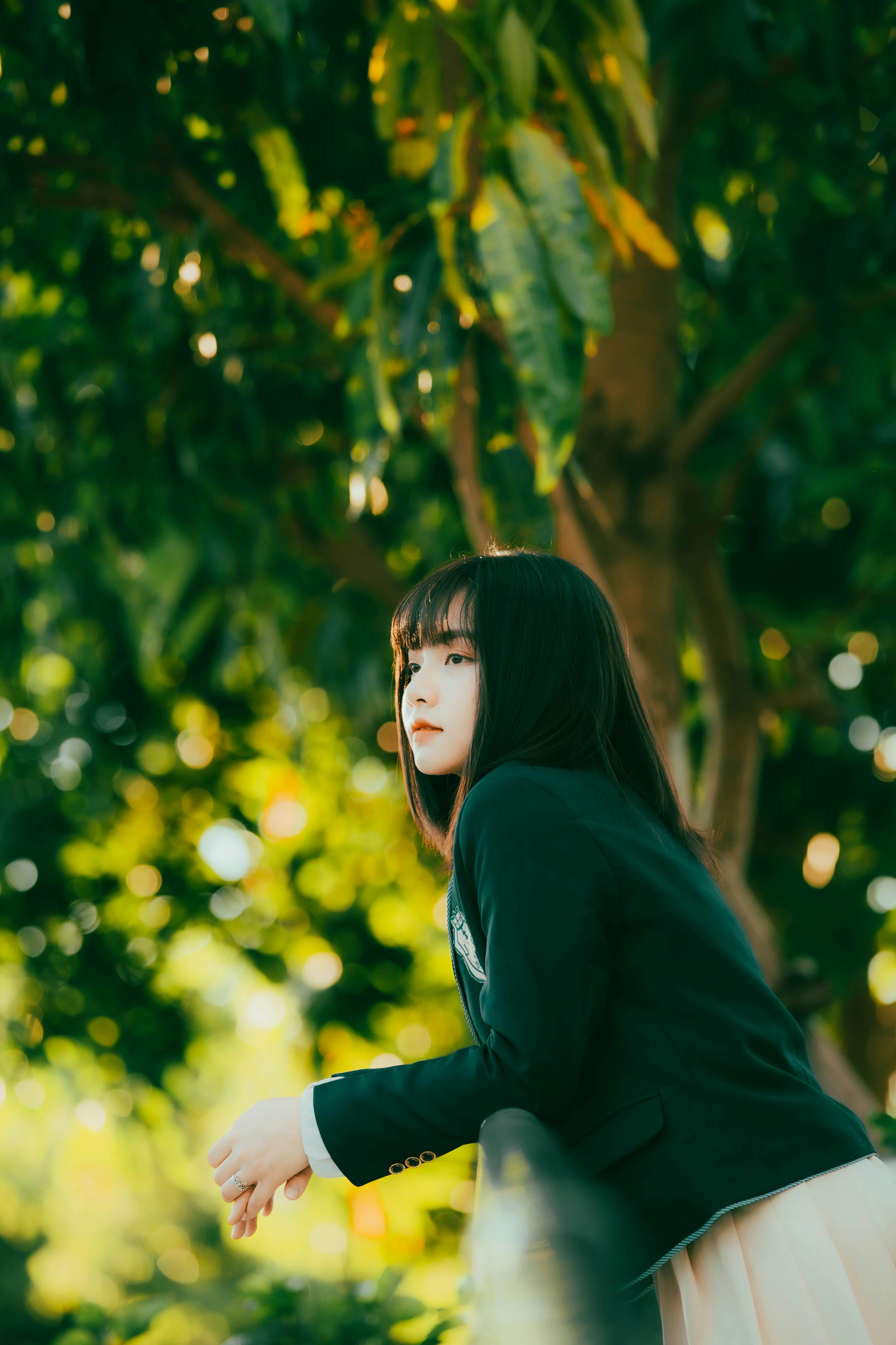 创作者 Quý Nguyễn 的展示图